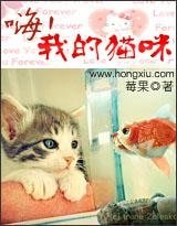嗨,我的貓咪