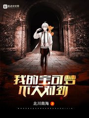 (精灵宝可梦同人)我的宝可梦不大对劲