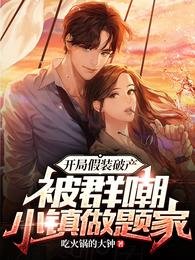 開局假裝破產，被羣嘲小鎮做題家
